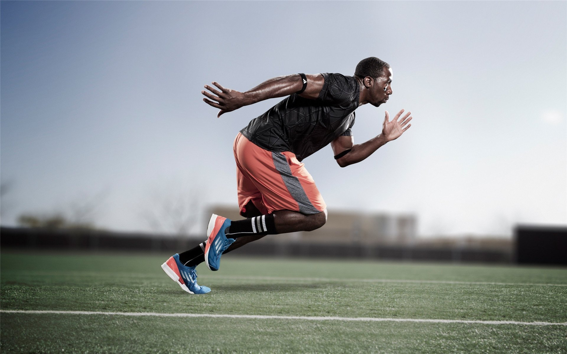 _猛兽运动会：传统民俗与运动的融合_，运动猛兽主题公园